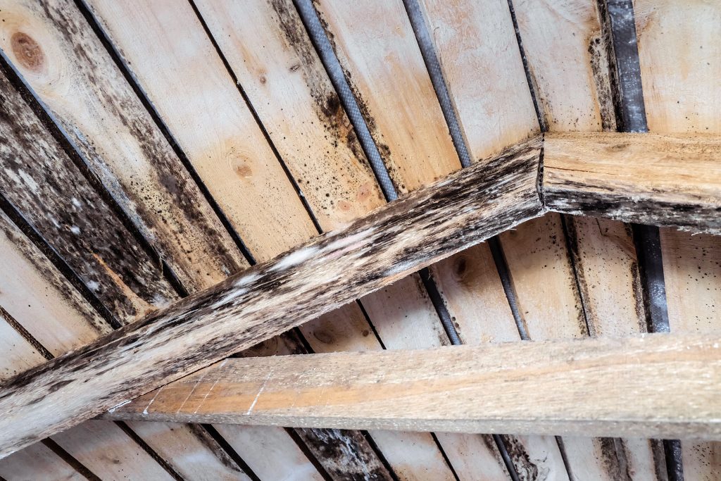 Rotting due to humidity and growth of molds  wooden roofing structures in Glen Rock, NJ